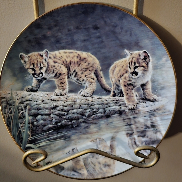 Reflection - Picture 1 of 2